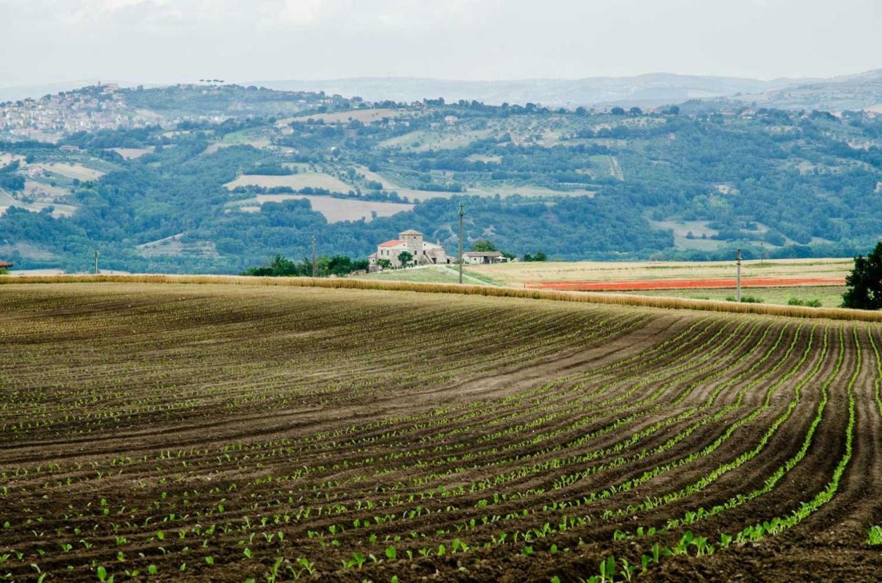 Country Relais La Torretta Baronale Guest House San Giorgio del Sannio Exterior photo